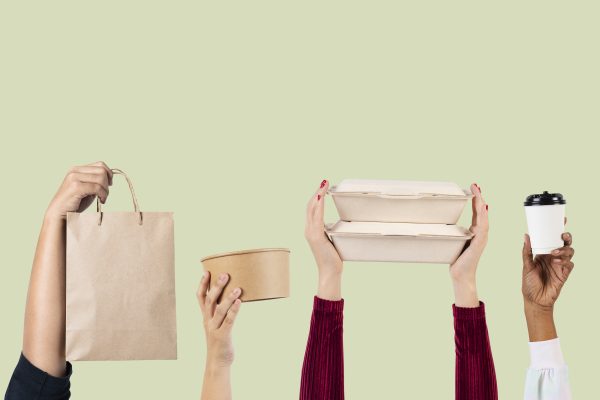 Eco-friendly food packaging  delivery concept